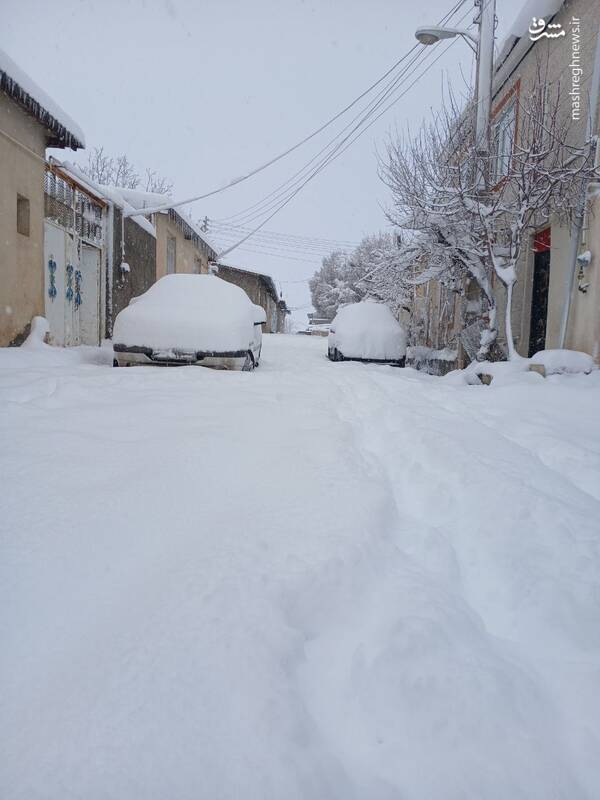 عکس/ بارش سنگین برف در قاراقان قزوین