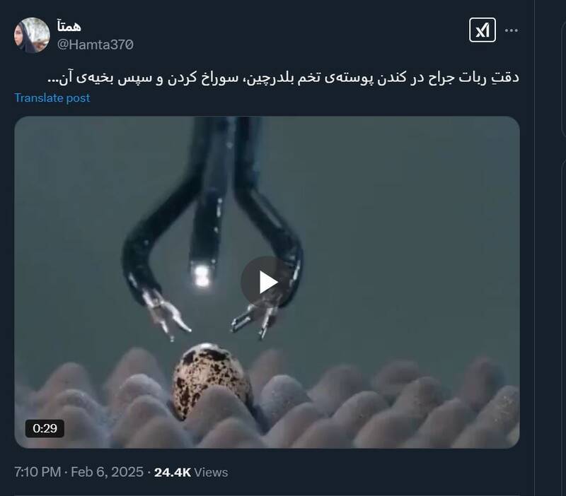 دقت ربات جراح در کندن پوسته تخم بلدرچین!