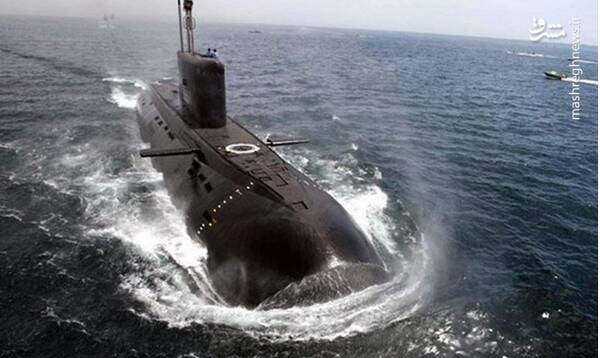 غولهای نامرئی ایرانی؛ شکارچیان مرگبار دریاها+ عکس