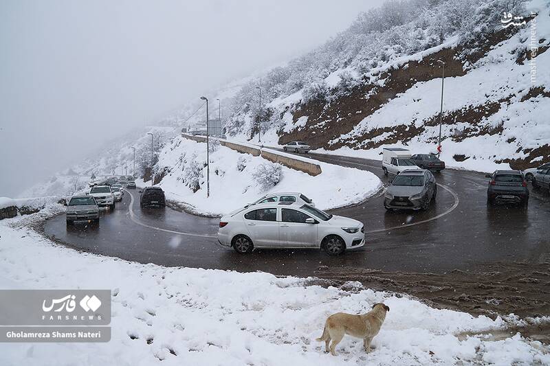 عکس/ جاده برفی کندوان