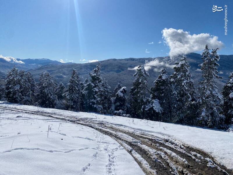 نمایی از اتریش ایران
