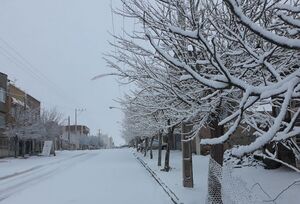 فیلم/ بارش برف زمستانی در خراسان شمالی