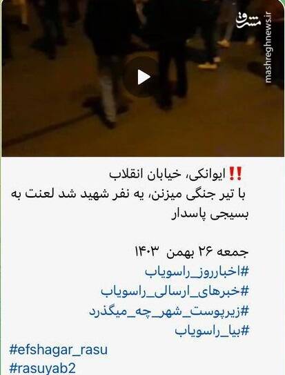 راسوها دوباره فعال شدهاند +عکس