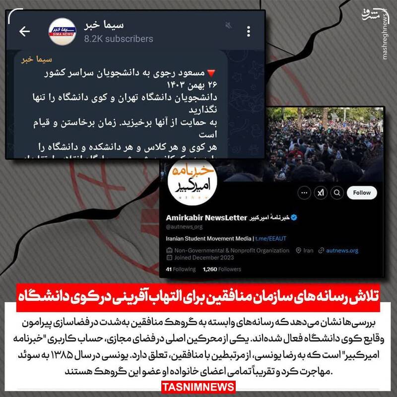 راسوها دوباره فعال شدهاند +عکس