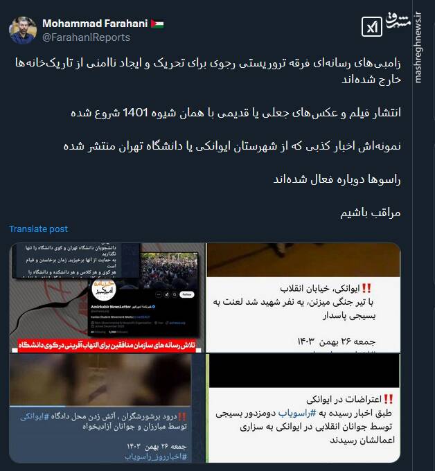 راسوها دوباره فعال شدهاند +عکس