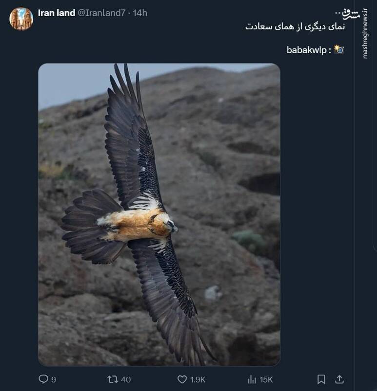 نمایی از همای سعادت