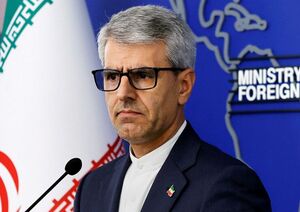 بقائی: اجازه دخالت بیگانگان را در روابط همسایگی نمی‌دهیم