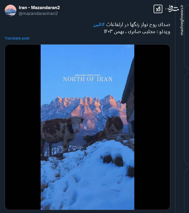 صدای روح نواز زنگها در ارتفاعات البرز+ فیلم