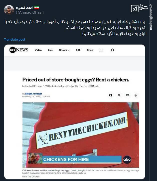 آگهی به صرفه کرایه مرغ در آمریکا!