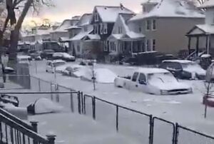 سیل یخ زده در ایالت میشیگان آمریکا