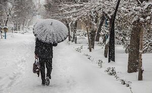 فیلم/ آغاز بارش برف در شهرستان دالاهو