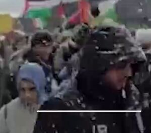 راهپیمایی همبستگی با غزه در سکاریای ترکیه + فیلم