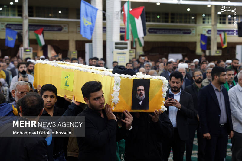 بوشهر بوشهر