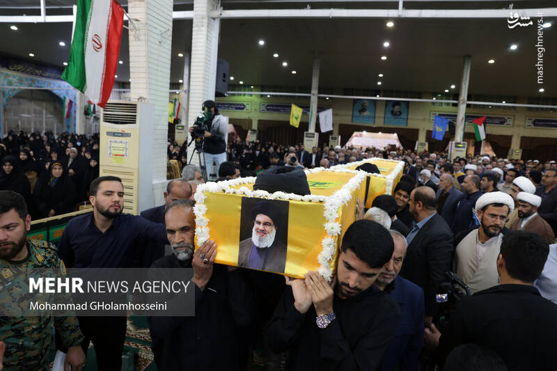 بوشهر بوشهر