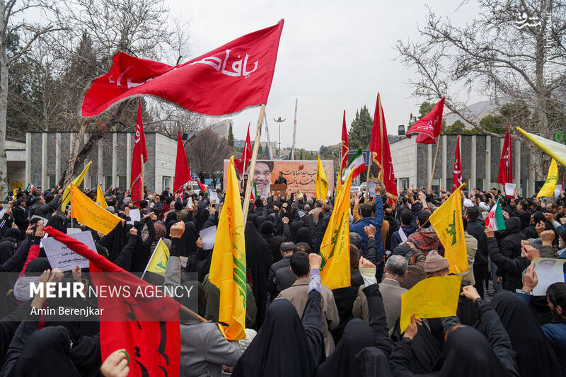 شیراز شیراز