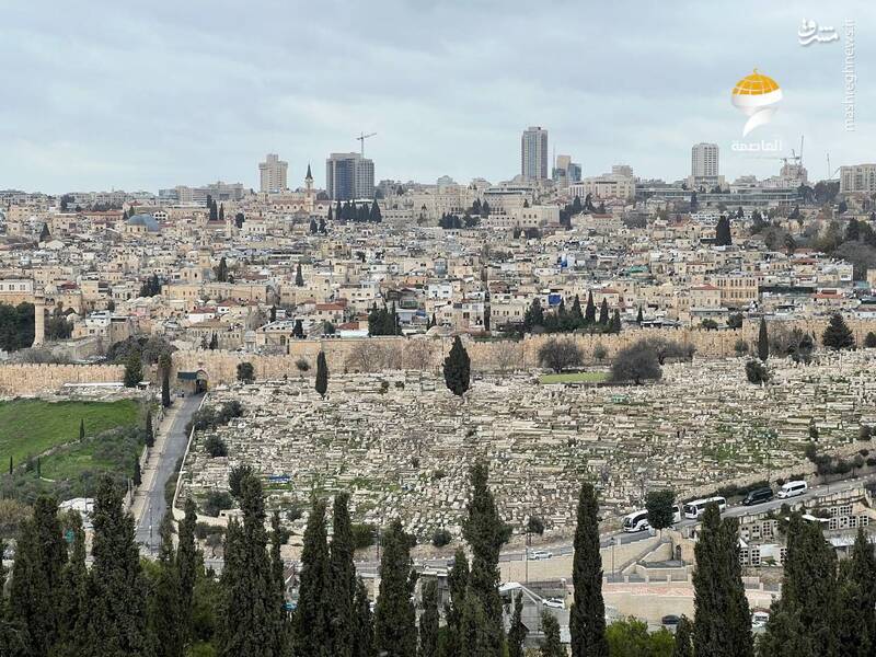 نمایی زیبا از مسجدالاقصی از فراز "جبلالزیتون"
