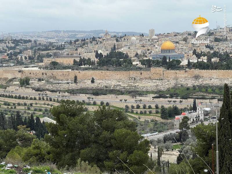 نمایی زیبا از مسجدالاقصی از فراز "جبلالزیتون"