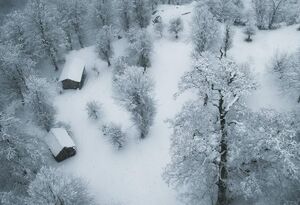 تصویری نایاب از زمستان در ارتفاعات مازندران
