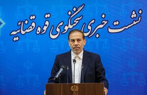 فیلم/ اقدامات دستگاه قضا در جلوگیری از وقوع جرم در صندوقهای طلا