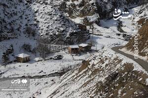 عکس/ طبیعت برفی کوهستان چالوس