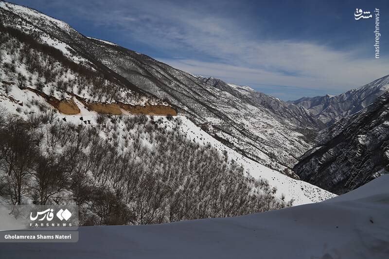 عکس/ طبیعت برفی کوهستان چالوس
