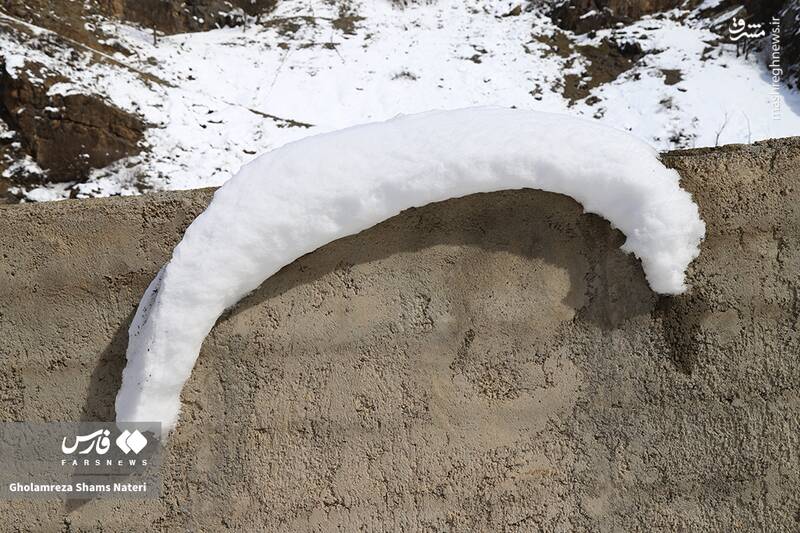 عکس/ طبیعت برفی کوهستان چالوس