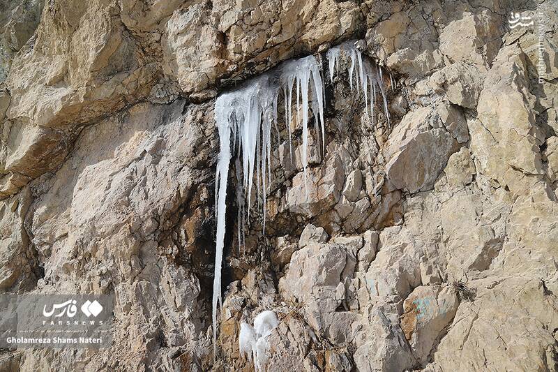 عکس/ طبیعت برفی کوهستان چالوس