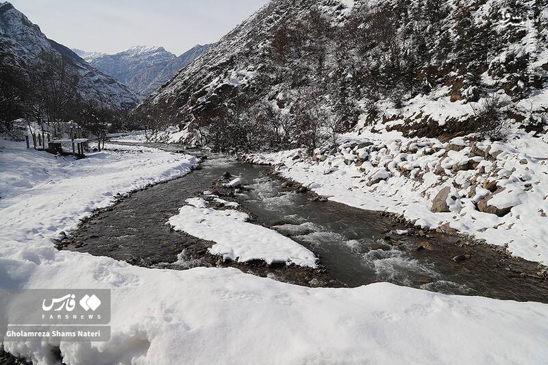 عکس/ طبیعت برفی کوهستان چالوس