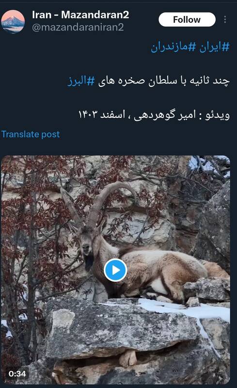 چند ثانیه با سلطان صخره های البرز+فیلم