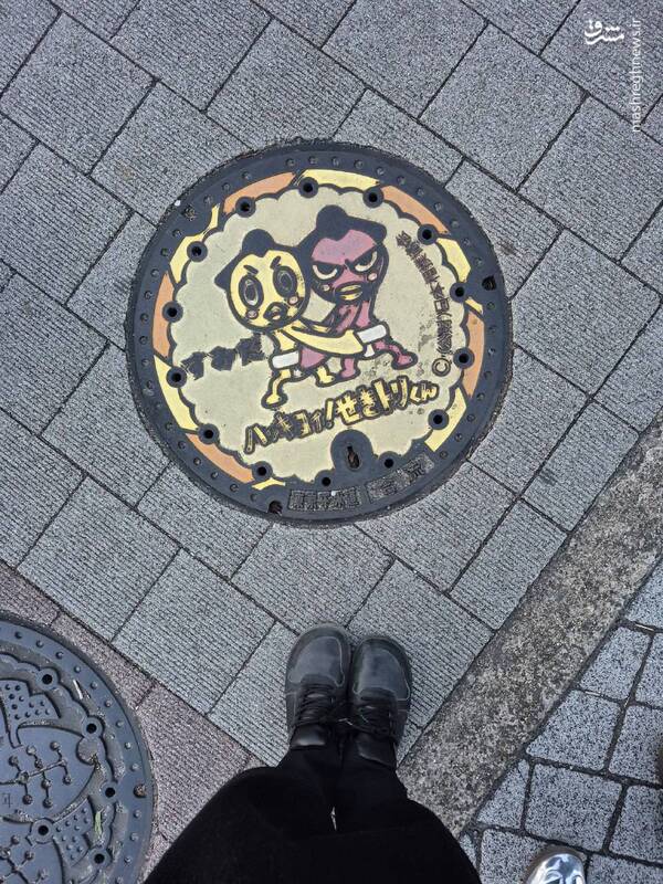 خلاقیتهای شهری حتی روی درپوش فاضلاب در ژاپن