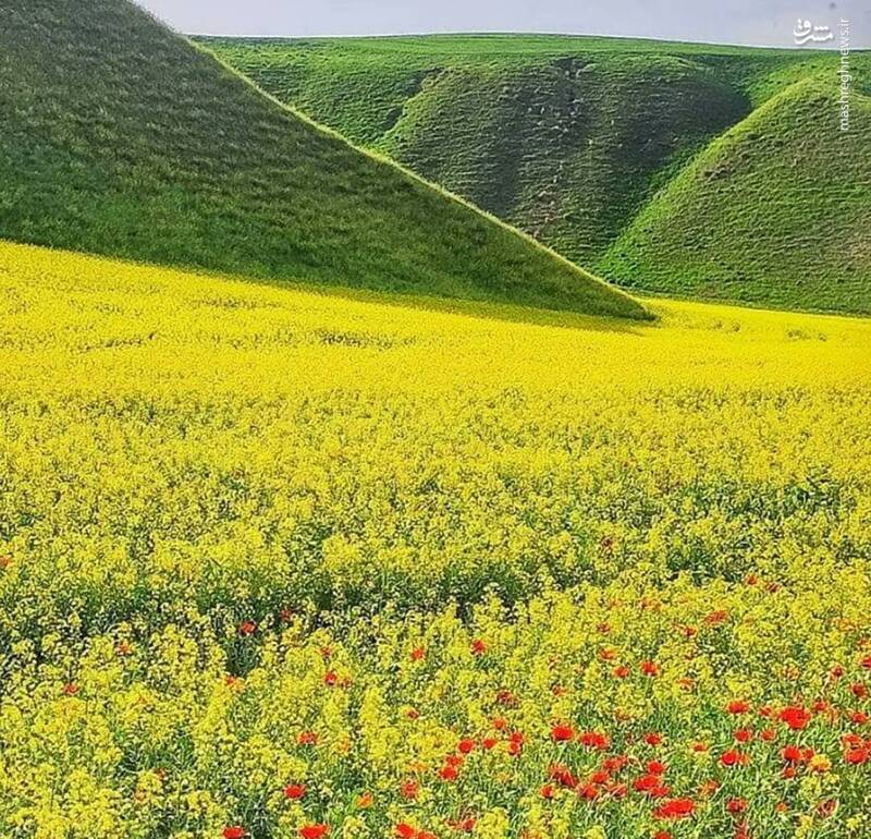 آرامگاه خالدنبی کجاست؟+ عکس