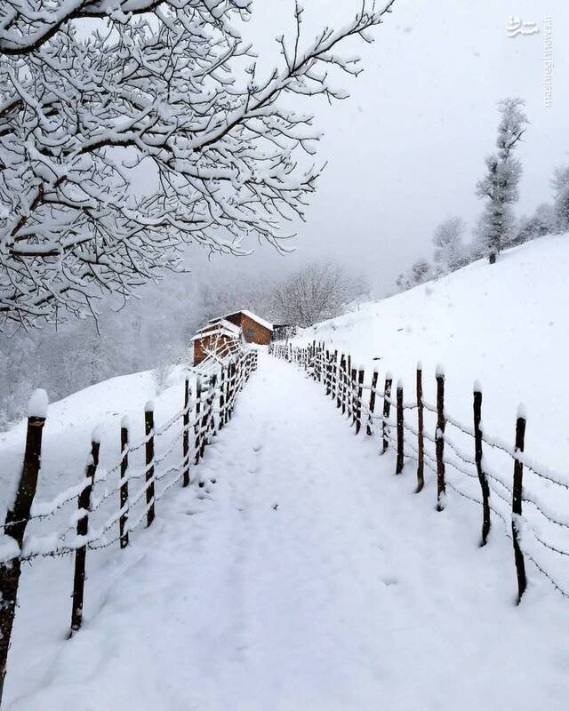 تصویری از زمستان در ارتفاعات گیلان