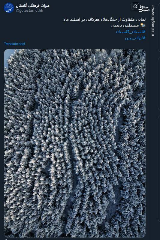 نمایی متفاوت از جنگلهای هیرکانی در اسفند ماه