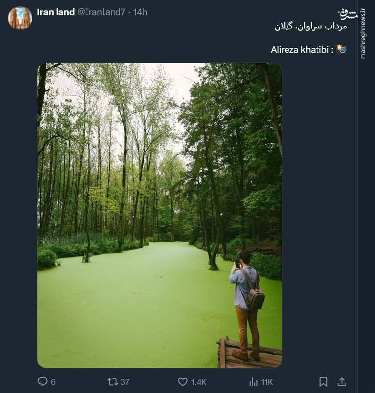 تصویری از مرداب سراوان در استان گیلان