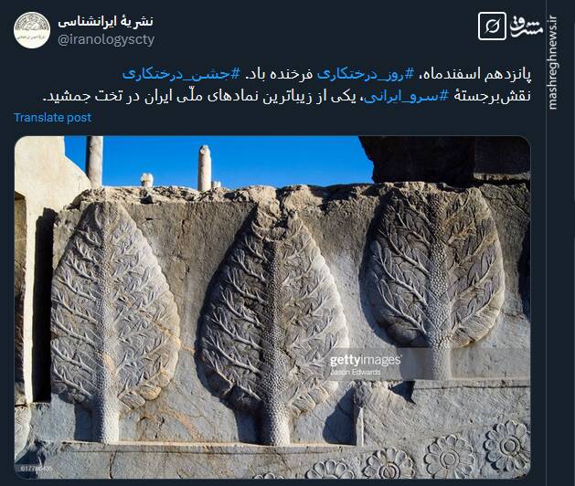 تصویری از نقش‌برجستۀ سرو ایرانی در تخت جمشید