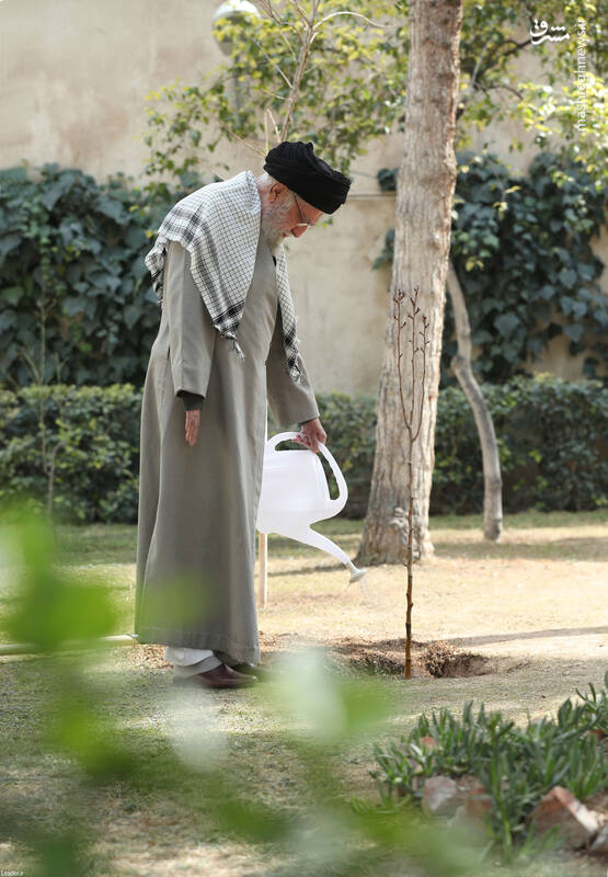 نهضت ملی درختکاری جدی گرفته شود و ادامه یابد/ با تخریب جنگلها و تبدیل کاربری اراضی کشاورزی مقابله شود