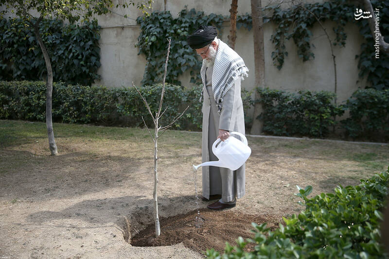 نهضت ملی درختکاری جدی گرفته شود و ادامه یابد/ با تخریب جنگلها و تبدیل کاربری اراضی کشاورزی مقابله شود