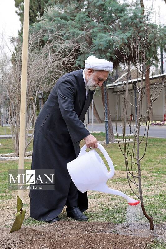 عکس/ محسنی اژهای یک اصله نهال کاشت عکس/ محسنی اژهای یک اصله نهال کاشت