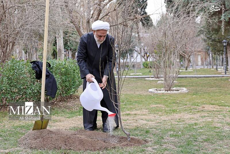 عکس/ محسنی اژهای یک اصله نهال کاشت عکس/ محسنی اژهای یک اصله نهال کاشت