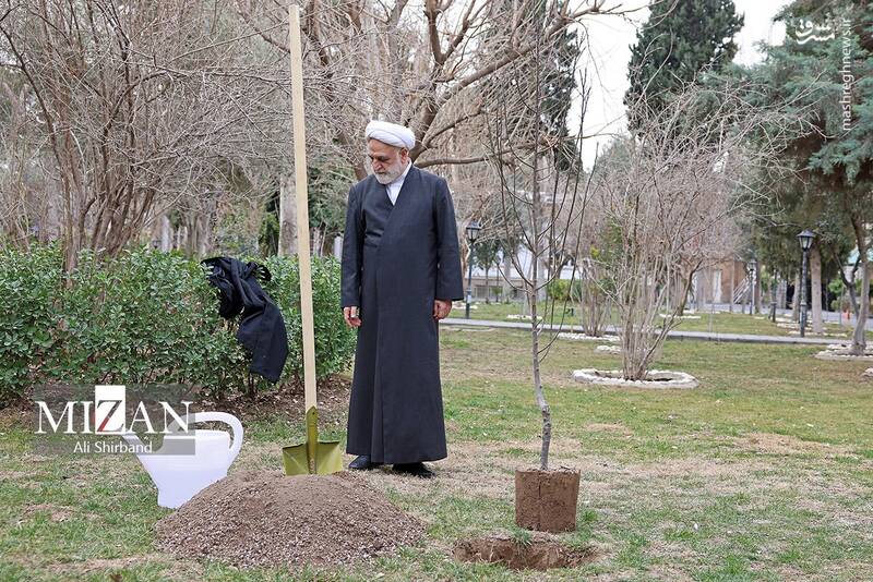 عکس/ محسنی اژهای یک اصله نهال کاشت عکس/ محسنی اژهای یک اصله نهال کاشت