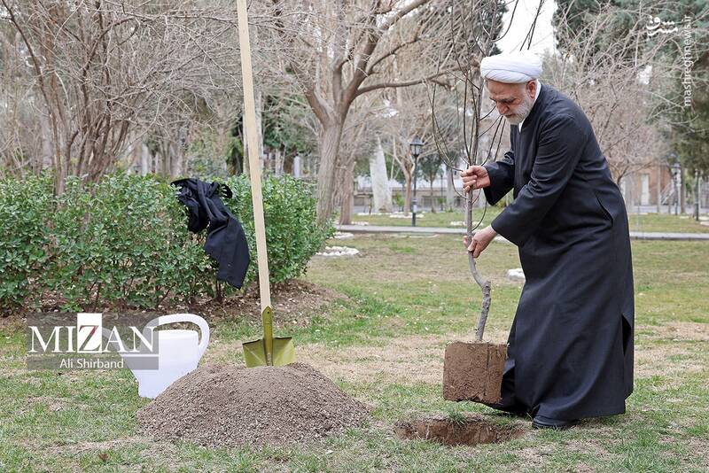 عکس/ محسنی اژهای یک اصله نهال کاشت عکس/ محسنی اژهای یک اصله نهال کاشت