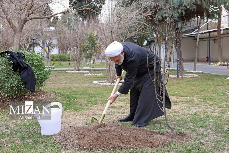 عکس/ محسنی اژهای یک اصله نهال کاشت عکس/ محسنی اژهای یک اصله نهال کاشت