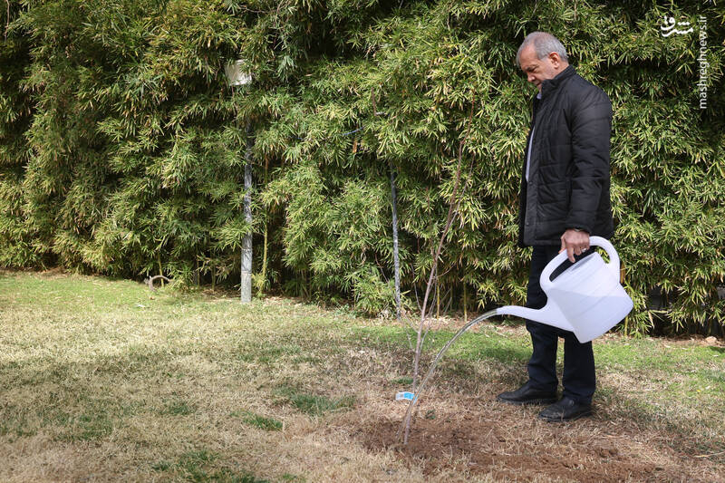 مردم با مشارکت در کاشت درخت به بهبود محیط زیست کشور کمک کنند