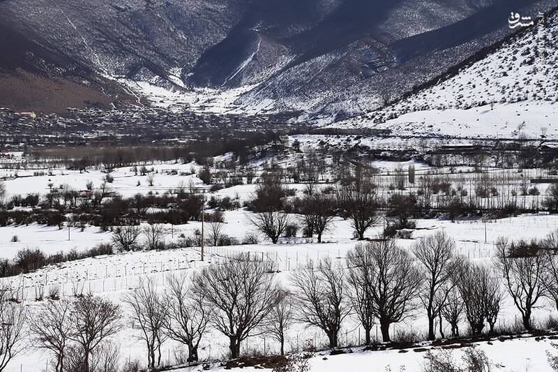 عکس/ مناظر برفی کجور مازندران