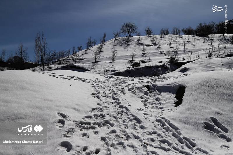 عکس/ مناظر برفی کجور مازندران