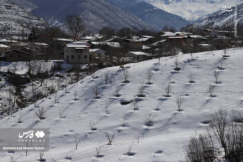 عکس/ مناظر برفی کجور مازندران