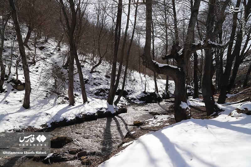 عکس/ مناظر برفی کجور مازندران