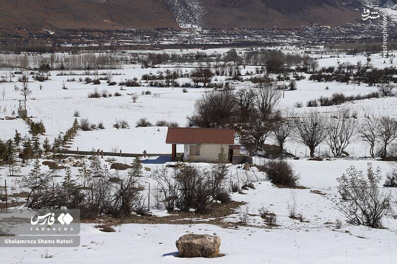 عکس/ مناظر برفی کجور مازندران
