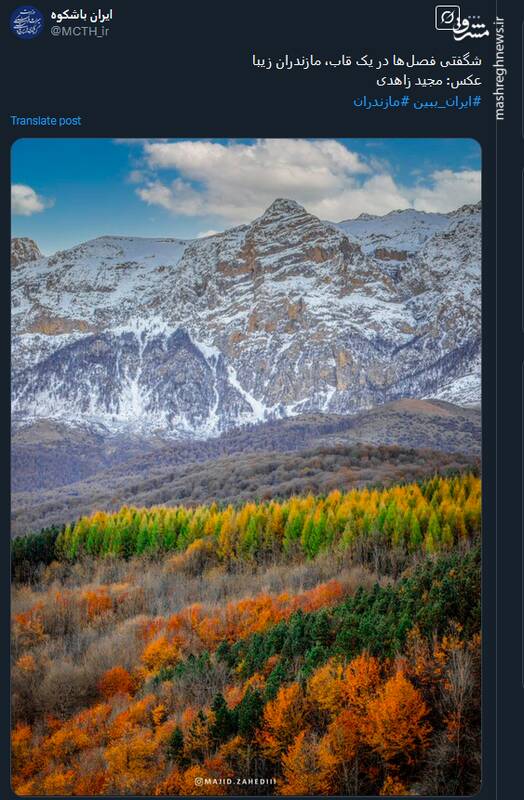 شگفتی فصلها در یک قاب