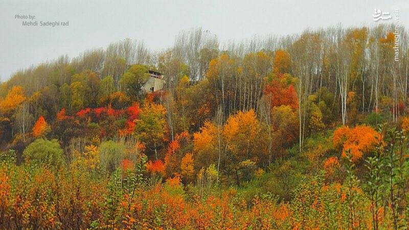 تصاویری زیبا از پارک جنگلی مشگین شهر